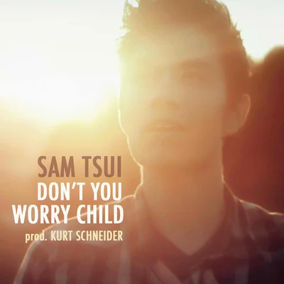 Don&#x27;t You Worry Child 专辑 Sam Tsui