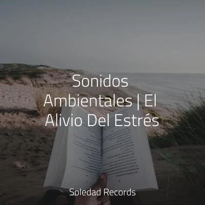 Sonidos Ambientales | El Alivio Del Estrés 專輯 Sons da natureza HD/Meditacao Clube/Spa