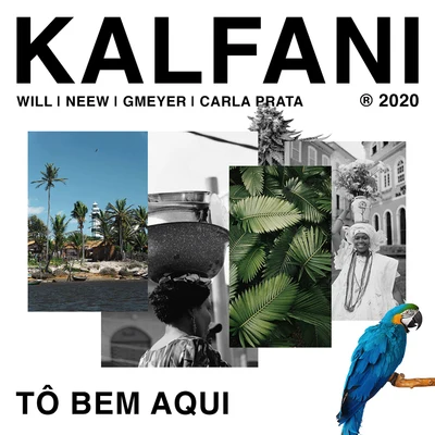 TÔ BEM AQUI (feat. Neew, GMeyer, Carla Prata & DJ Will) 专辑 DJ Kalfani/Mc Pedrinho