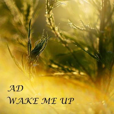 Wake Me Up 專輯 scipio/AD/Kurupt