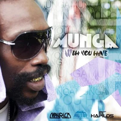 Weh You Have - Single 专辑 Munga/ZJ Liquid