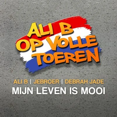 Mijn Leven Is Mooi (feat. Ali B & Debrah Jade) 专辑 Jebroer/DJ Parla/DJ Paul Elstak/Sharon Doorson/Charly Lownoise & Mental Theo