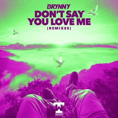 Don&#x27;t Say You Love Me (Remixes) 专辑 Brynny