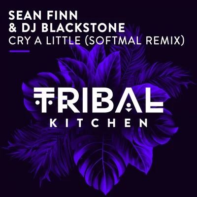 Cry a Little (Softmal Remix) 專輯 DJ Blackstone