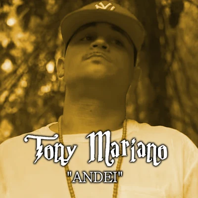 Andei 专辑 Tony Mariano/Dj Luanzinho/FP do Trem Bala/Mc Rael