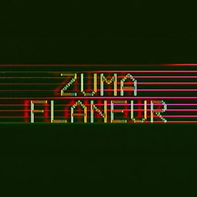 Flâneur 專輯 Busta 929/Zuma/Reece Madlisa/Mr Jazziq