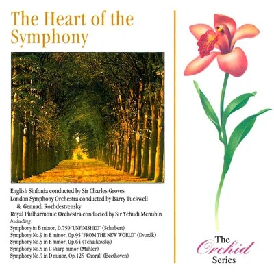 The Heart Of The Symphony 專輯 Wyn Morris