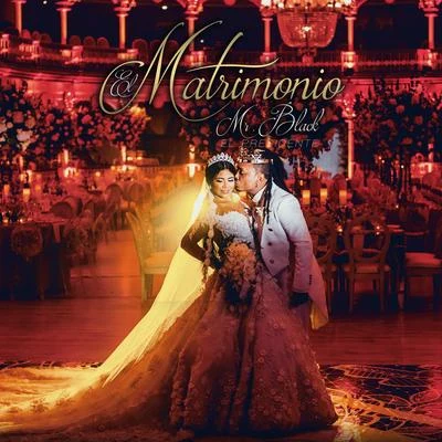 El Matrimonio 专辑 Mr Black El Presidente