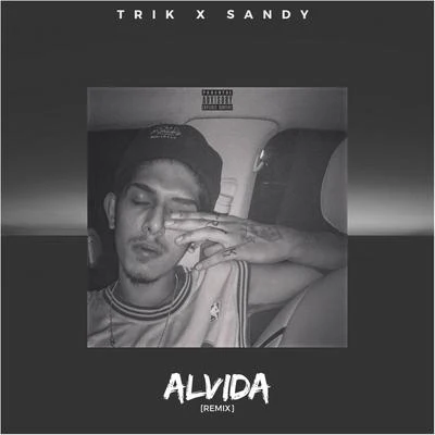 Alvida (Remix) 專輯 Sandy/Timo Jahns/Sugar House/Chelle/FLORAL