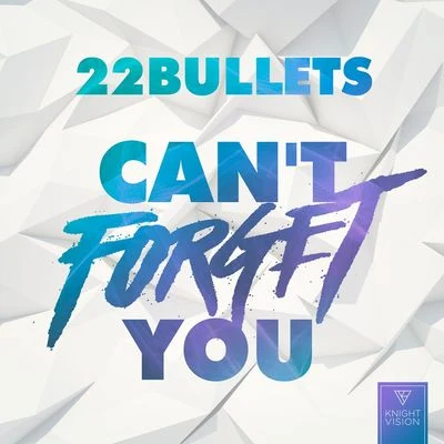 22 Bullets Cant Forget You