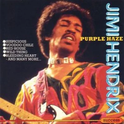 Jimi Hendrix Purple Haze