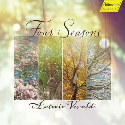 4 Seasons 專輯 Kathron Sturrock/Rebecca Clarke/Jonathan Rees/Patricia Wright