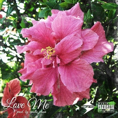 Love Me 專輯 Dave Steezy/Marty Grimes