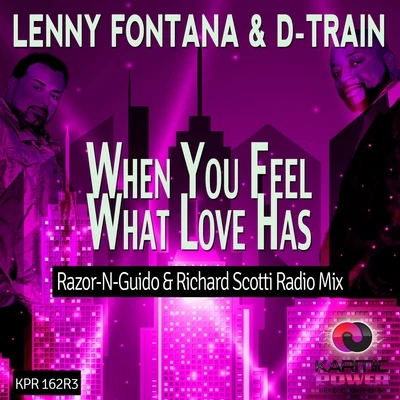 When You Feel What Love Has 專輯 D-Train/Lenny Fontana