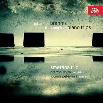 Brahms: The Complete Piano Trios 專輯 Petr Matuszek/Jaroslav Kubita/Svatopluk Zaal/Petr Holub/Ludmila Peterkova