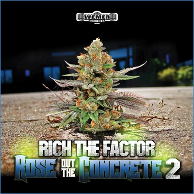 Rose Out The Concrete 2 专辑 Rich The Factor