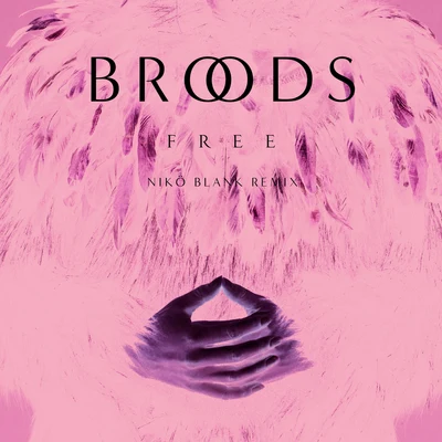 Free (Nikö Blank Remix) 專輯 BROODS/The Killers/Alison Wonderland/Sam Smith/Fall Out Boy