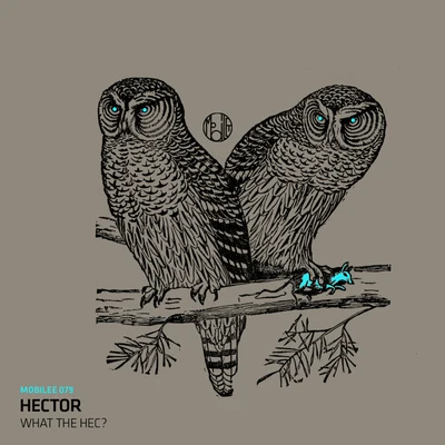 Hector What The Hec?