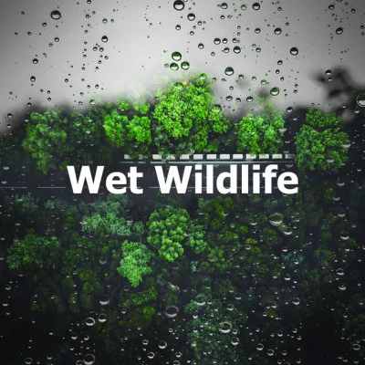 Wet Wildlife 專輯 Ambient Nature White Noise/Rain Sounds Nature Collection/Ocean Sounds