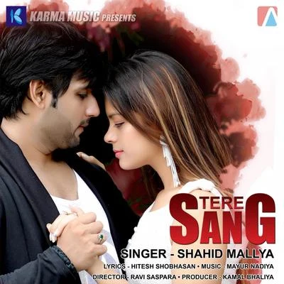 Tere Sang 专辑 Hard Kaur/Shahid Mallya/Hans Raj Hans/Rahat Fateh Ali Khan/Ustad Rashid Khan