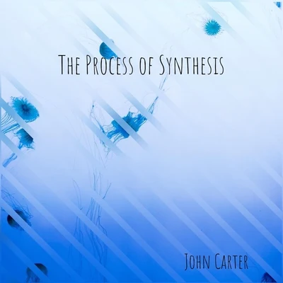 The Process of Synthesis 專輯 John Carter/Cecil McBee/Andrew Cyrille/Horace Tapscott