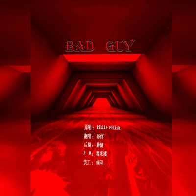 bad guy 专辑 海疼er