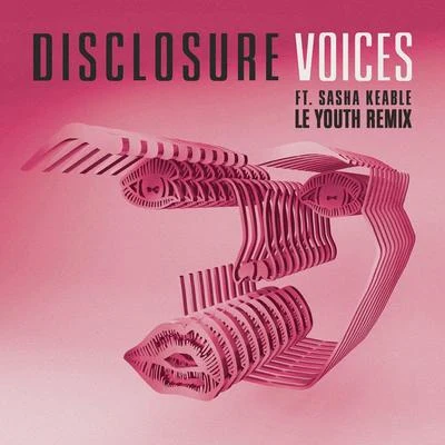 Voices (Le Youth Remix) 專輯 Disclosure