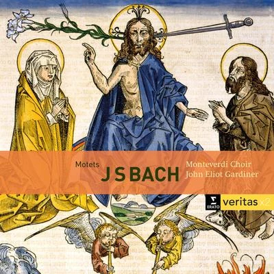 John Eliot GardinerEirian JamesEnglish Baroque SoloistsJulian ClarksonCharlotte MargionoIldebrando DArcangelo Bach: Motets BWV 225-231, Cantatas BWV 50 & 118