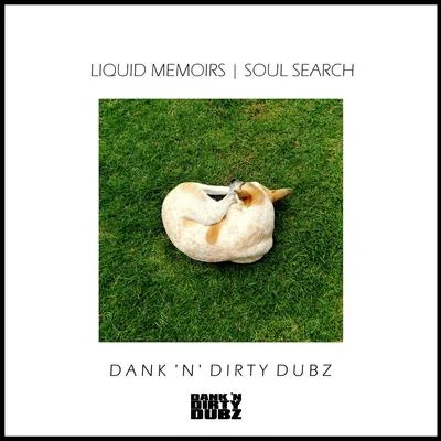 Liquid Memoirs Soul Search