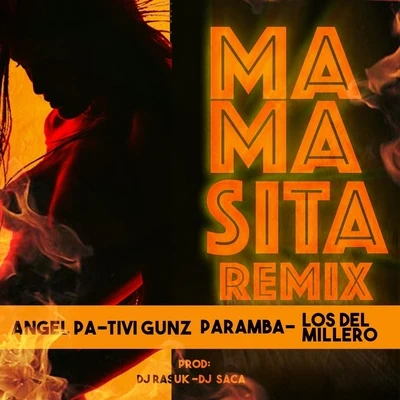 Paramba Mamasita (Remix) [feat. Paramba, Tivi Gunz & Los Del Millero]