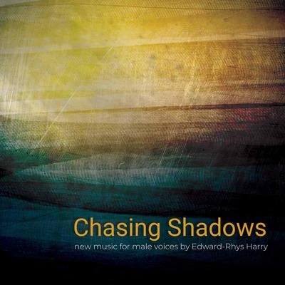 Chasing Shadows 专辑 Daniel James