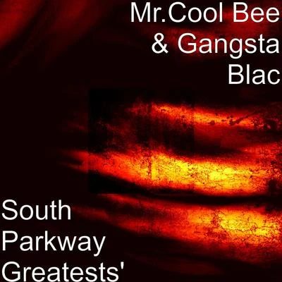 South Parkway Greatests 專輯 Gangsta Blac/38