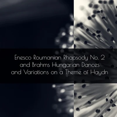 Enesco Roumanian Rhapsody No. 2 and Brahms Hungarian Dances and Variations on a Theme of Haydn 专辑 London Symphony Orchestra