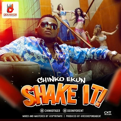 Shake It 專輯 Chinko Ekun/Reminisce/Powpeezy