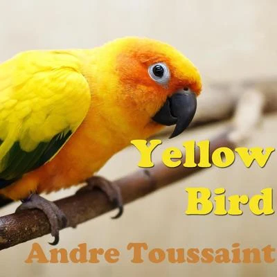 Yellow Bird 專輯 Yale Strom/Stuart Dempster/DJ Tamara/Abel Domingues/Dave Swarbrick