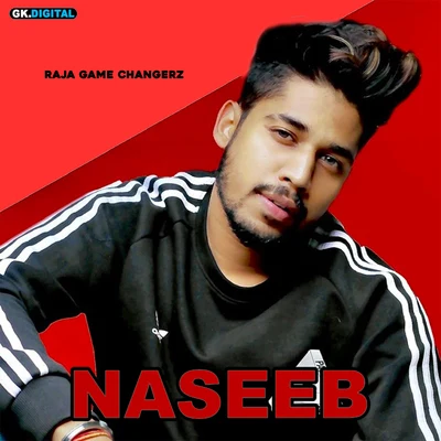 Naseeb 專輯 Amrit Dhillion/Raja Game changerz