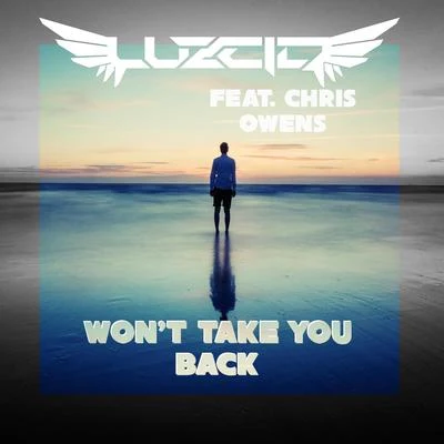 Wont Take You Back (feat. Chris Owens) 專輯 Luzcid