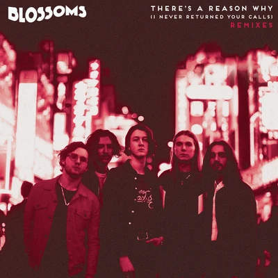 Theres A Reason Why (I Never Returned Your Calls) (Remixes) 專輯 Blossoms/Chase & Status