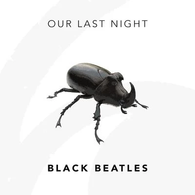 Black Beatles (Rock) 专辑 Our Last Night