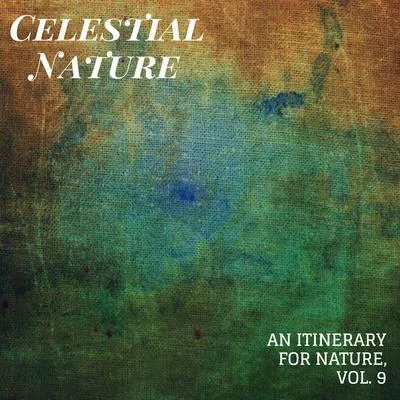 Celestial Nature - An Itinerary for Nature, Vol. 9 專輯 Rain Sounds For Sleep/Zarobi/Natural Rain Sounds for Sleeping