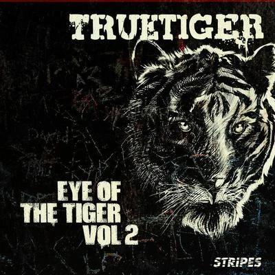 Eye Of The Tiger Volume 2 专辑 True Tiger