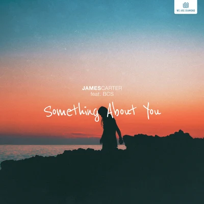 Something About You 专辑 James Carter/Klei