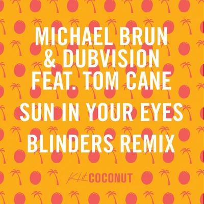 Sun in Your Eyes (Blinders Remix) 專輯 Michael Brun