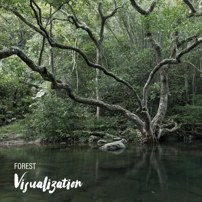 Forest Visualization - Close Your Eyes and Take Your Thoughts to the Heart of Nature with This Great New Age Music, Nature Sounds Relaxation, Woodland 專輯 Meditation