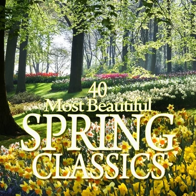 40 Most Beautiful Spring Classics 專輯 Zubin Mehta/Giuseppe Verdi/Sherrill Milnes