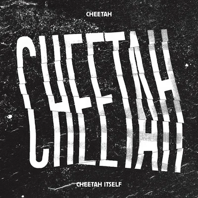 CHEETAH ITSELF 專輯 Do yeon/heya ㅎㅇ/cheetah/Eunice