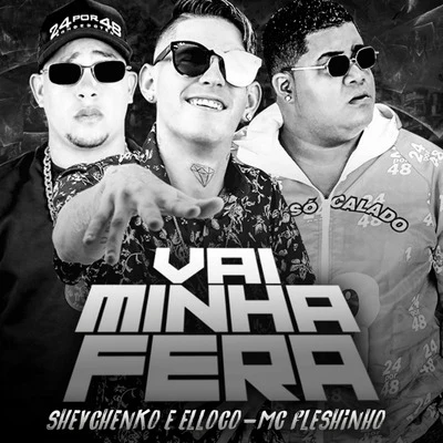 Vai Minha Fera 專輯 Mc Fleshinho