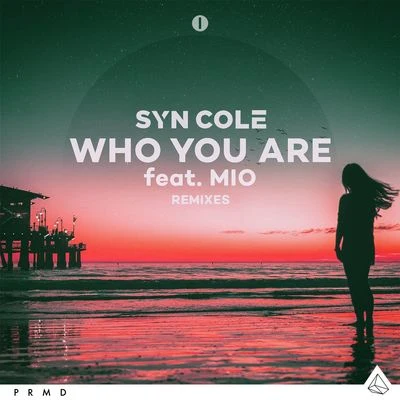 Who You Are (Remixes) 專輯 Syn Cole/Tensnake/Roxanne Emery/Lost Frequencies/Tiggi Hawke