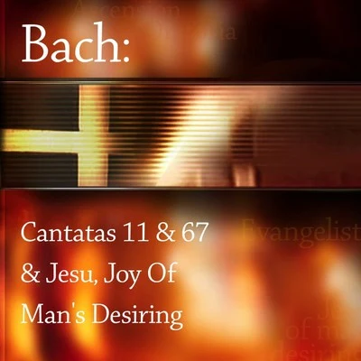 Bach: Cantatas 11 & 67 and Jesu, Joy of Mans Desiring 專輯 Craig Phillips/Peter Hallock/Charles Beaudrot/Jack Mitchener/Paul Halley