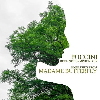 Puccini: Madame Butterfly (Highlights) 專輯 Ferry Gruber/Berliner Symphoniker/Guggi Löwinger/Margit Schramm/Robert Stolz